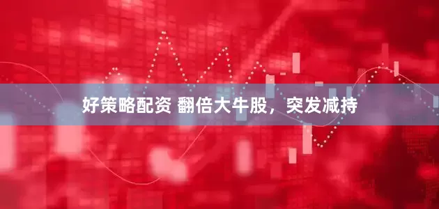 好策略配资 翻倍大牛股，突发减持