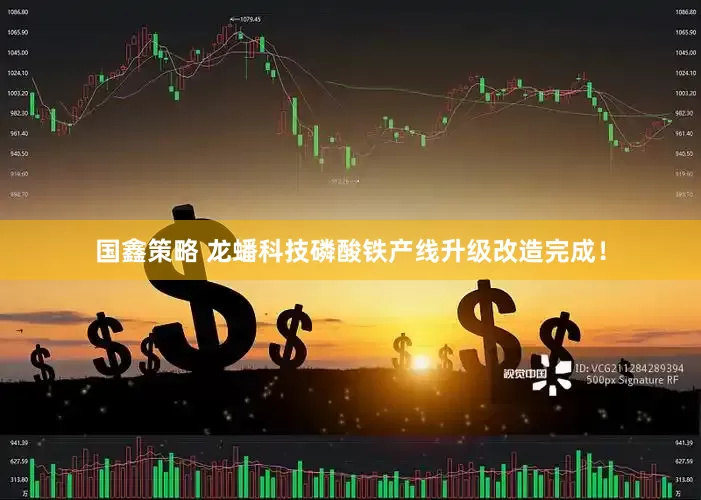 国鑫策略 龙蟠科技磷酸铁产线升级改造完成！