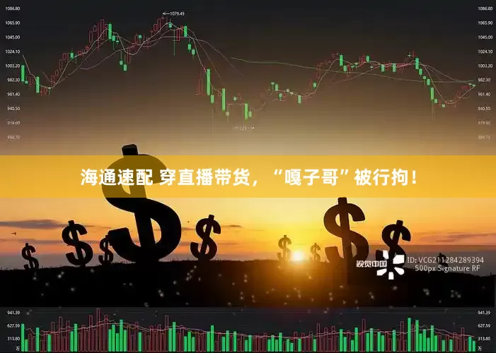 海通速配 穿直播带货，“嘎子哥”被行拘！